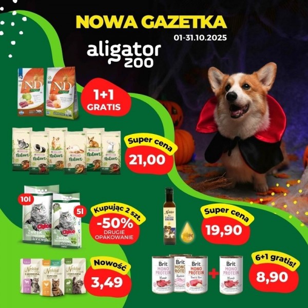 800x800px__1025_nowa_gazetka_Aligator_ZOO.jpg