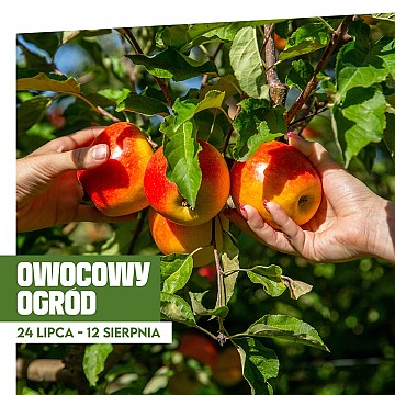 poznan_owocowy_ogrod_960x960.jpg