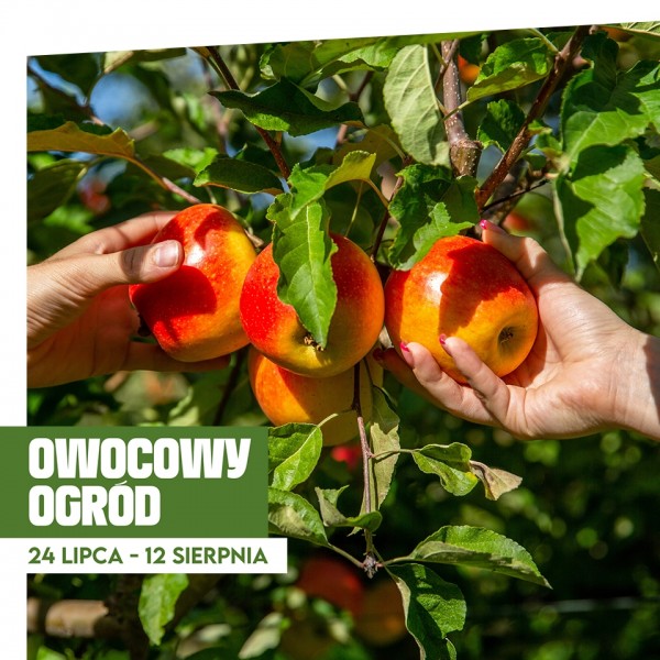 poznan_owocowy_ogrod_960x960.jpg