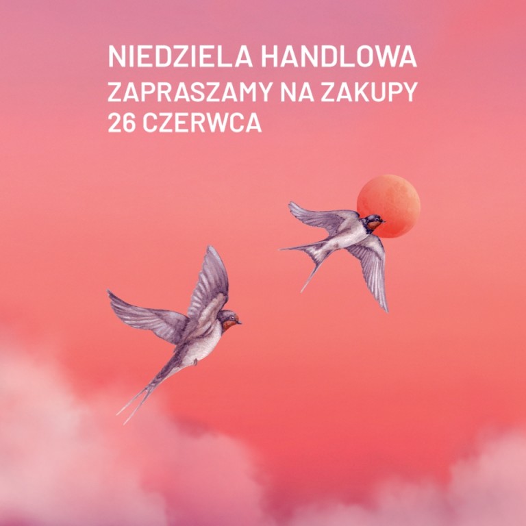POZNAN_NIEDZIELA_HANDLOWA_CZERWIEC_2022_960x960.jpg