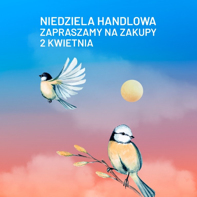 POZNAN_NIEDZIELA_HANDLOWA_KWIECIEN_2023_960x960.jpg
