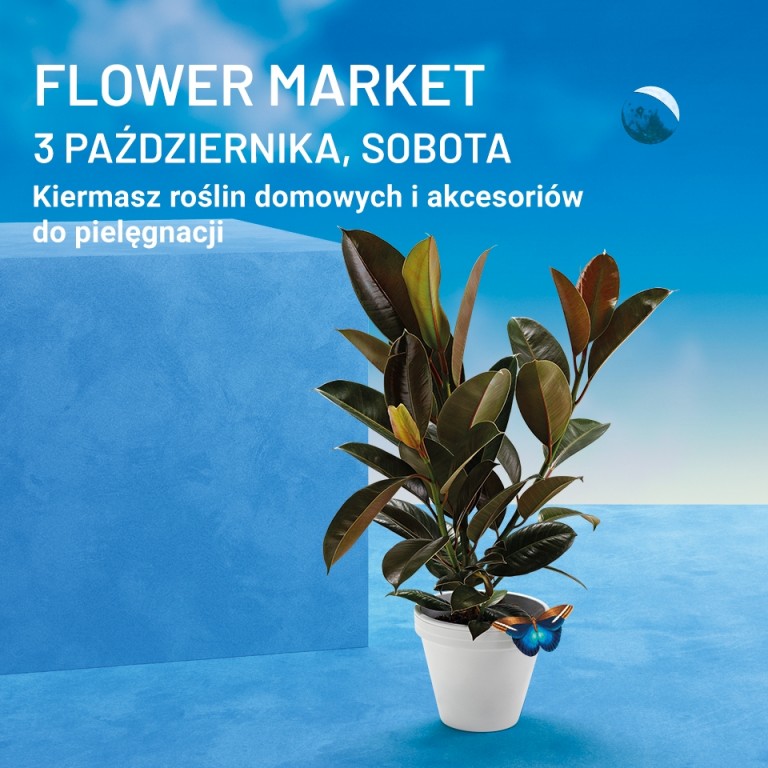 Poznan_flower_market_2020_FB_960X960px.jpg