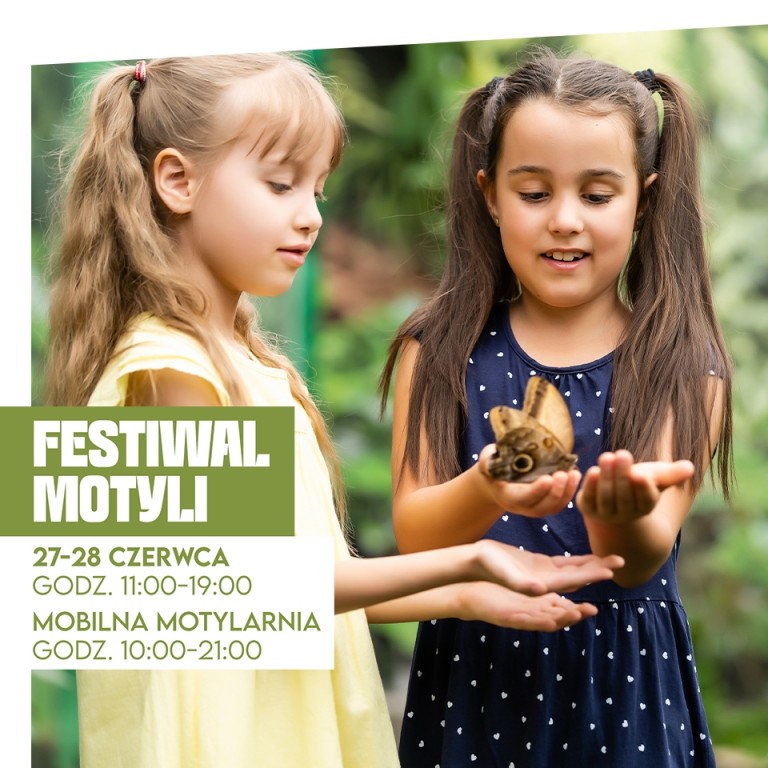 poznan_festiwal_motyli_960x960.jpg