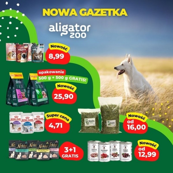 800x800px__0826_nowa_gazetka_Aligator_ZOO.jpg