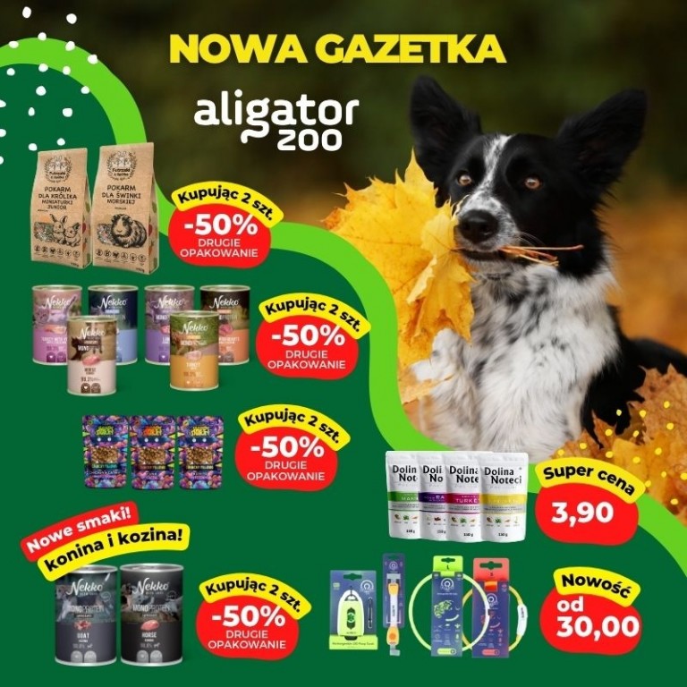 800x800px__1026_nowa_gazetka_Aligator_ZOO.jpg